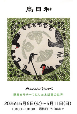 Accotori